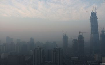 生态与环境霾调查报告6篇