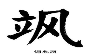 关于飒的演讲稿通用5篇
