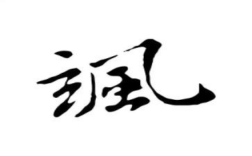 关于飒的作文6篇