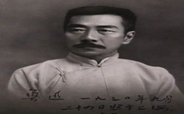 彷徨集读后感优质7篇