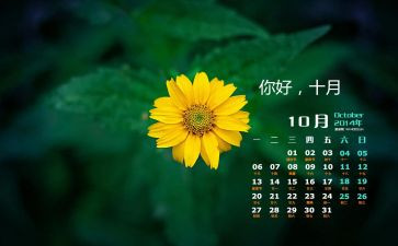 2024年10月工作总结推荐5篇