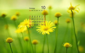 大大班10月份工作计划8篇