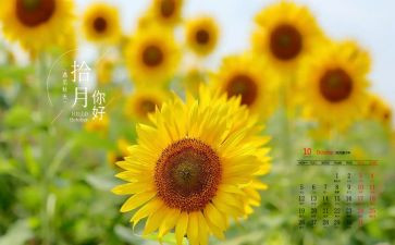 2024年10月工作总结8篇