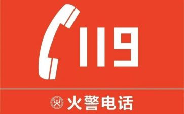 幼儿园119安全教育教案模板8篇