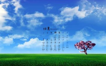 幼儿园教师12月份教育心得6篇