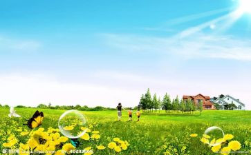 幼儿园1月活动方案5篇