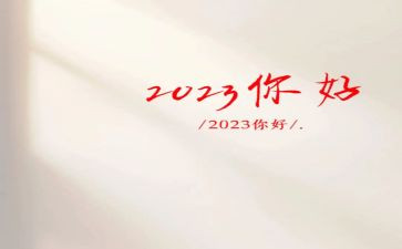 2023年护士年终工作总结模板6篇