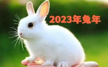护士2023年工作计划优质7篇