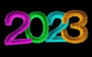 2023教师专业技术工作总结优质7篇