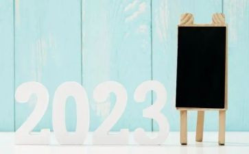 2023职称工作总结参考8篇