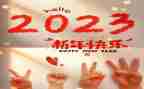 2023中学总务处工作总结模板7篇