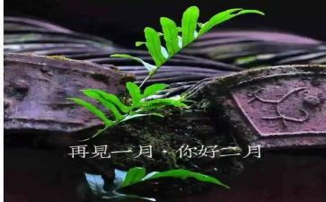 2月份销售工作总结6篇