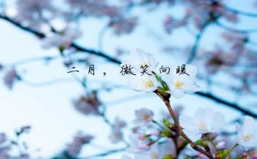 2月的工作总结优秀7篇