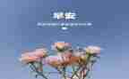幼儿园大班3月份工作总结5篇
