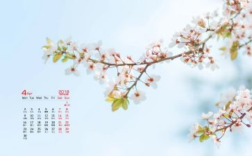 4月份大班工作总结8篇