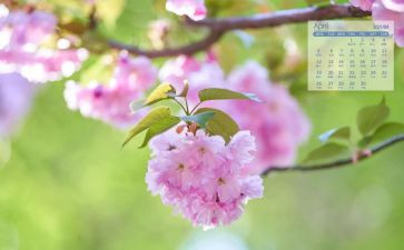 小学4月工作总结7篇