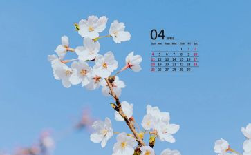 幼儿园大班4月份月总结6篇