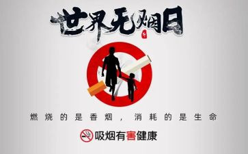 531计划心得体会模板6篇