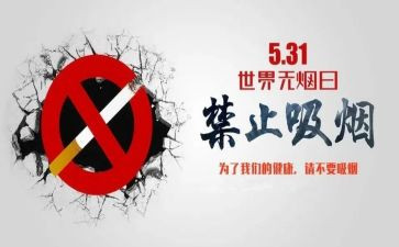 531计划心得体会6篇