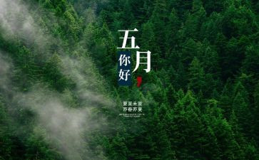 5月安全工作总结推荐5篇