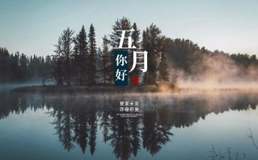 大班主任5月份工作总结6篇