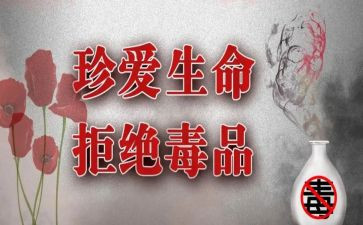 学校626活动方案推荐5篇