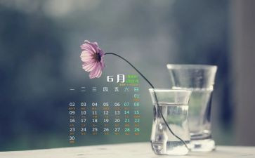 幼儿教师6月份工作总结7篇