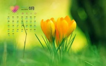 幼儿园中班6月份工作总结8篇