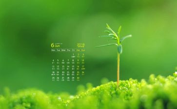 6月党日活动总结通用7篇
