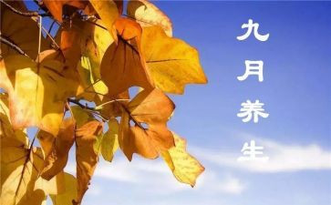 9月工作总结7篇