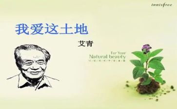 读后感艾青诗选1000字7篇