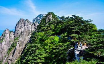 13安徽高考作文8篇