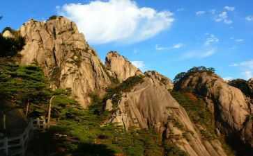 安徽省劳动合同5篇