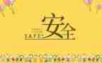 安全类工作总结范文优质6篇