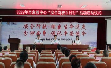 夏季治安打击整治百日行动工作总结6篇