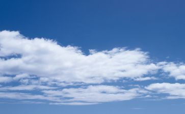 白色作文优秀6篇