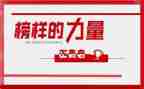 学榜样做榜样心得体会300字7篇
