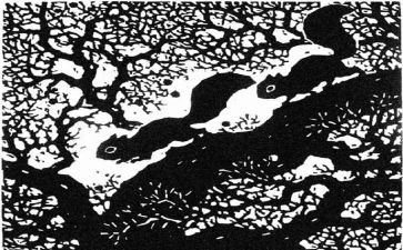 版画的作文最新6篇