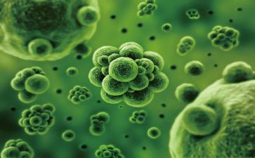 生物参观心得6篇