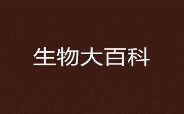 高二生物工作总结7篇
