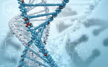 2024年生物实验室工作总结最新7篇