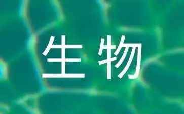 高二生物备课组工作计划6篇