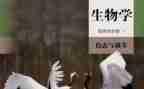 高二生物备课组工作总结5篇