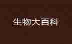 高二生物工作总结7篇