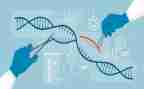 高二生物下学期工作总结8篇
