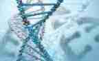 2024年生物实验室工作总结最新7篇
