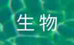 高二生物备课组工作计划6篇
