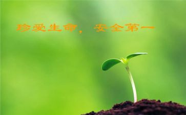 班级安全教育工作总结7篇