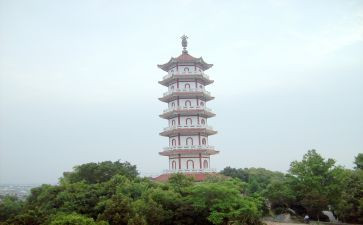 折宝塔教案6篇