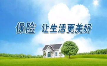 2024年保险年终工作总结6篇